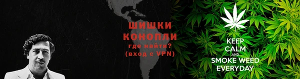 шишки Алексеевка