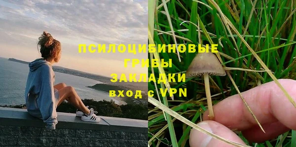 шишки Алексеевка